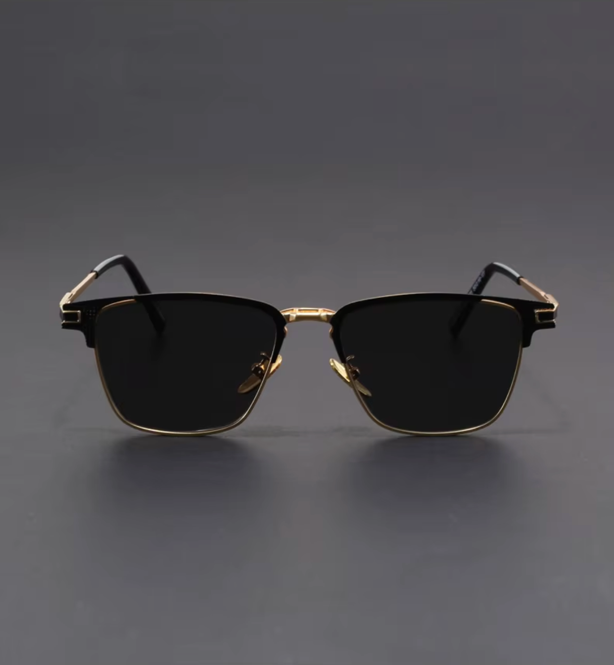 Venice Titanium Sunglasses