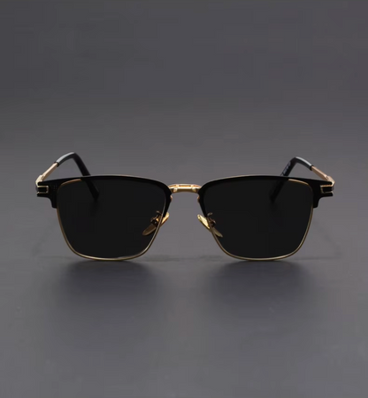 Venice Titanium Sunglasses