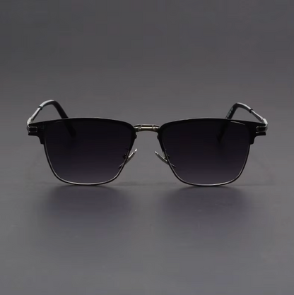 Venice Titanium Sunglasses
