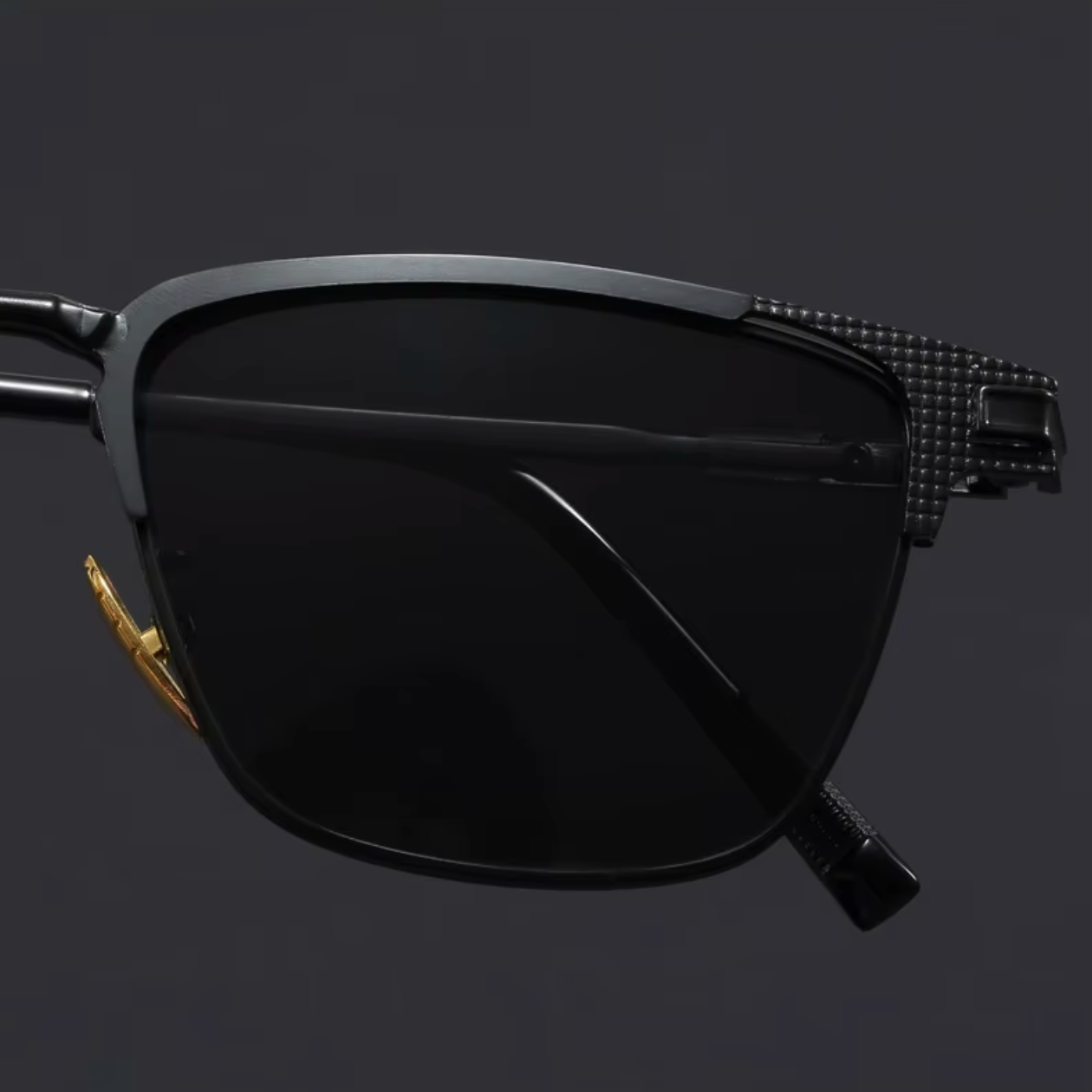 Venice Titanium Sunglasses