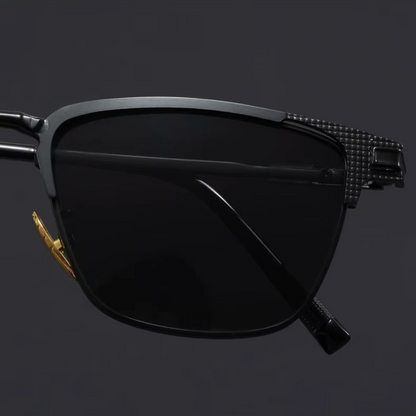 Venice Titanium Sunglasses